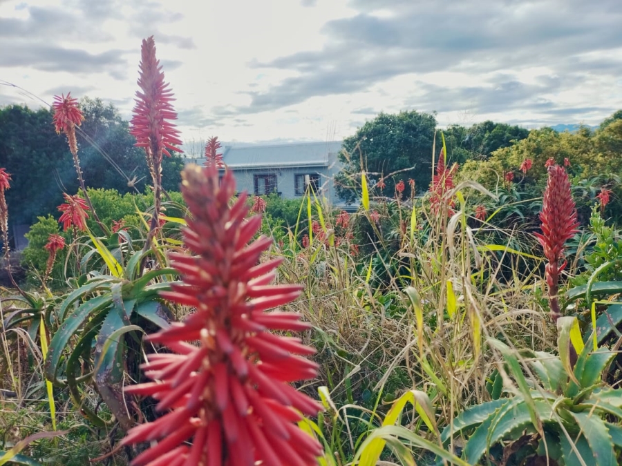 0 Bedroom Property for Sale in Fraaiuitsig Western Cape